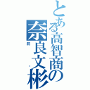 とある高智商の奈良文彬（前辈）