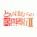 とあるほむらの時間遡行Ⅱ（ほむループ）