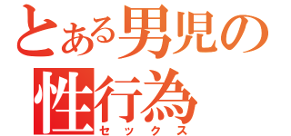 とある男児の性行為（セックス）