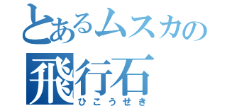 とあるムスカの飛行石（ひこうせき）