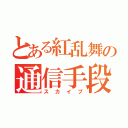 とある紅乱舞の通信手段（スカイプ）