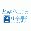 とある八王子のピリ辛野郎（ＳＰＩＣＹＢＯＹＳ）