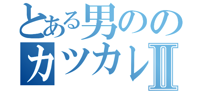 とある男ののカツカレーⅡ（）