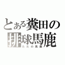 とある糞田の排球馬鹿（ただの馬鹿）