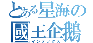 とある星海の國王企鵝（インデックス）