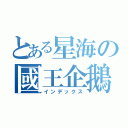 とある星海の國王企鵝（インデックス）