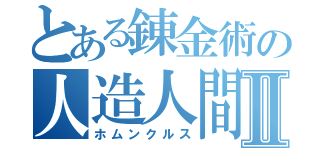 とある錬金術の人造人間Ⅱ（ホムンクルス）