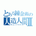 とある錬金術の人造人間Ⅱ（ホムンクルス）