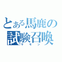 とある馬鹿の試験召喚（サモン）