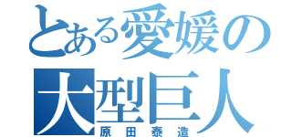 とある愛媛の大型巨人（原田泰造）