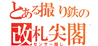 とある撮り鉄の改札尖閣（センサー隠し）