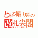 とある撮り鉄の改札尖閣（センサー隠し）