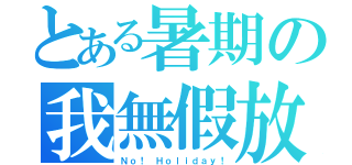 とある暑期の我無假放（Ｎｏ！ Ｈｏｌｉｄａｙ！）