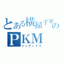 とある橫掃千軍のＰＫＭ（インデックス）