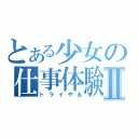 とある少女の仕事体験Ⅱ（トライやる）