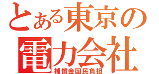 とある東京の電力会社（補償金国民負担）