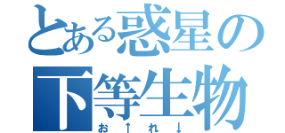 とある惑星の下等生物（お↑れ↓）