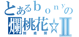 とあるｂｏｎｙの爛桃花☆Ⅱ（到處開）