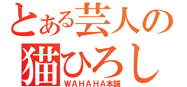 とある芸人の猫ひろし（ＷＡＨＡＨＡ本舗）