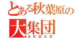 とある秋葉原の大集団（ＡＫＢ４８）