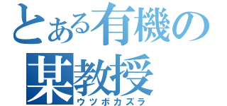 とある有機の某教授（ウツボカズラ）