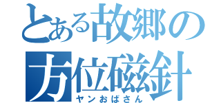 とある故郷の方位磁針（ヤンおばさん）