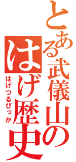 とある武儀山のはげ歴史（はげつるぴっか）