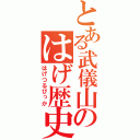 とある武儀山のはげ歴史（はげつるぴっか）