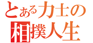 とある力士の相撲人生（）