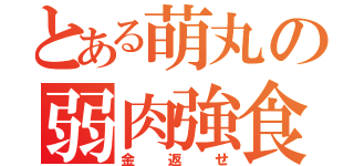 とある萌丸の弱肉強食（金返せ）