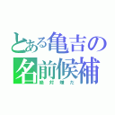 とある亀吉の名前候補（絶対嫌だ）