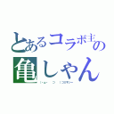 とあるコラボ主の亀しゃん（（・ω・ 　⊃ 　）⊃≡すいー）