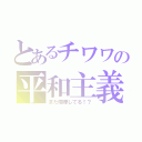 とあるチワワの平和主義（また喧嘩してる！？）