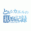 とあるカエルの観察記録（かんさつきろく）