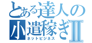 とある達人の小遣稼ぎⅡ（ネットビジネス）