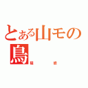 とある山モの鳥（疑惑）