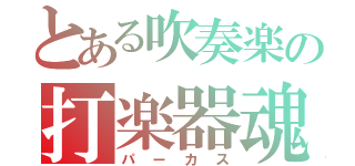 とある吹奏楽の打楽器魂（パーカス）