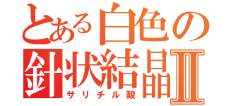 とある白色の針状結晶Ⅱ（サリチル酸）