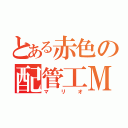 とある赤色の配管工Ｍ（マリオ）