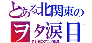 とある北関東のヲタ涙目（テレ東のアニメ削減）