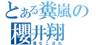 とある糞嵐の櫻井翔（落ちこぼれ）