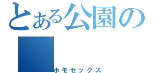 とある公園の（ホモセックス）