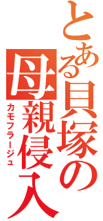 とある貝塚の母親侵入（カモフラージュ）