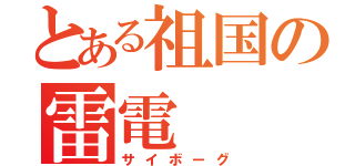 とある祖国の雷電（サイボーグ）