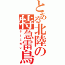 とある北陸の特急雷鳥（ターミガン）