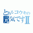 とあるコウキの元気ですか~Ⅱ（）