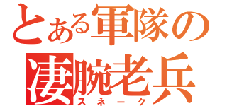 とある軍隊の凄腕老兵（スネーク）