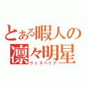 とある暇人の凛々明星（ヴェスペリア）