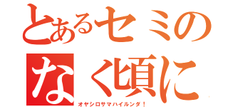 とあるセミのなく頃に（オヤシロサマハイルンダ！）