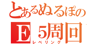 とあるぬるぽのＥ５周回（レベリング）